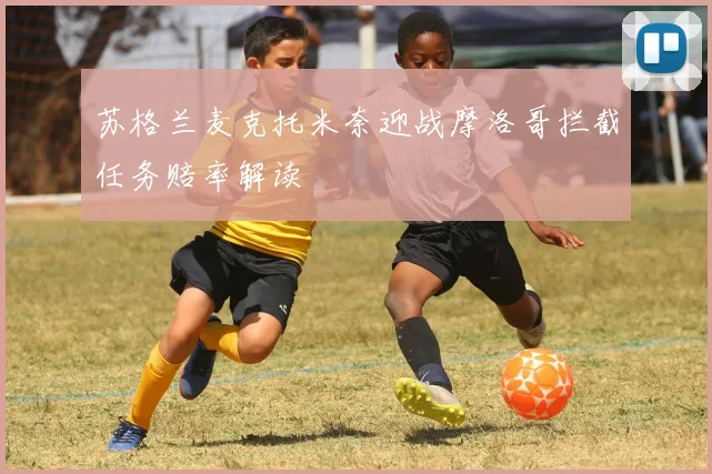 苏格兰麦克托米奈迎战摩洛哥拦截任务赔率解读