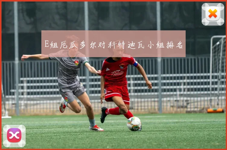 E组厄瓜多尔对科特迪瓦小组排名