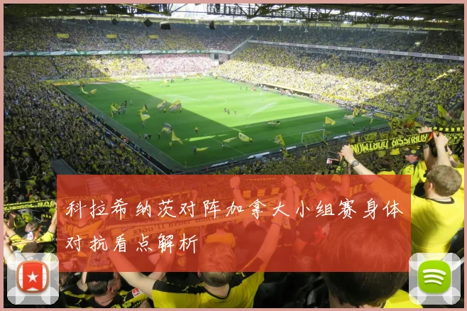 科拉希纳茨对阵加拿大小组赛身体对抗看点解析