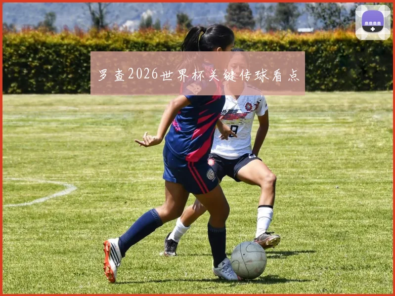 罗查2026世界杯关键传球看点