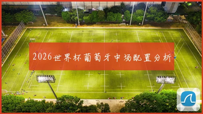2026世界杯葡萄牙中场配置分析