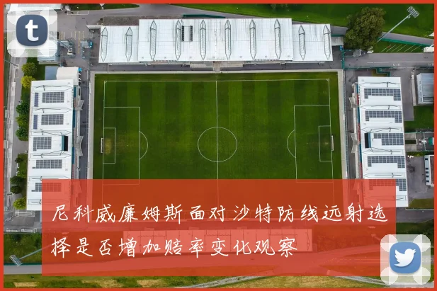 尼科威廉姆斯面对沙特防线远射选择是否增加赔率变化观察