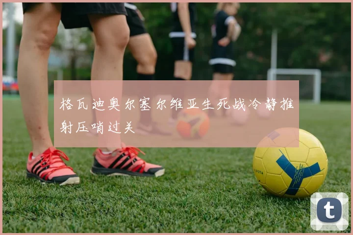 格瓦迪奥尔塞尔维亚生死战冷静推射压哨过关