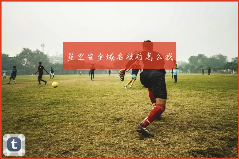 星空安全域名核对怎么找