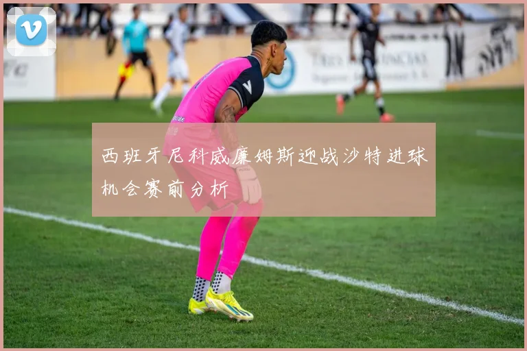 西班牙尼科威廉姆斯迎战沙特进球机会赛前分析
